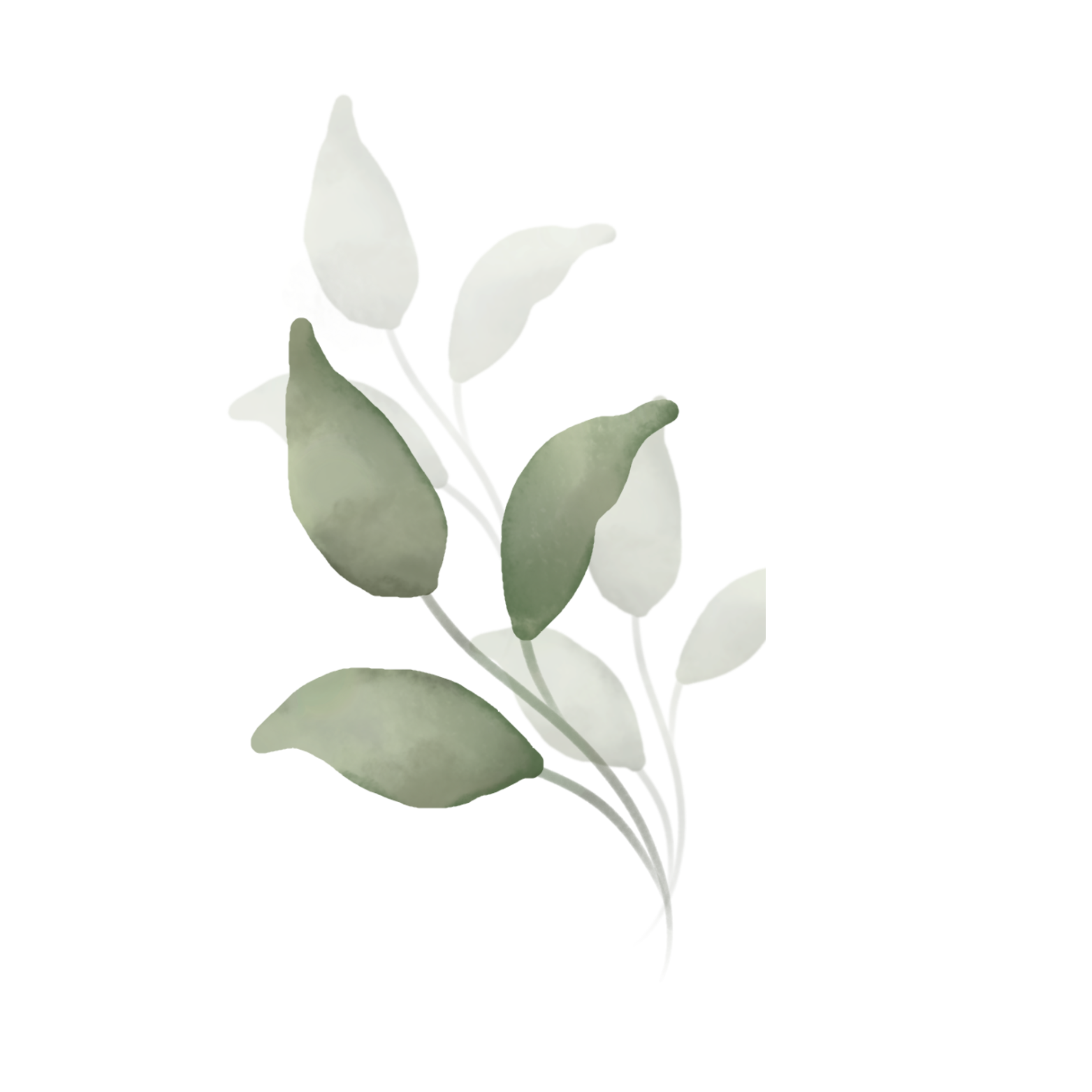 Decoración Izquierda